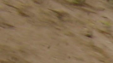 Terremoto en Ecuador