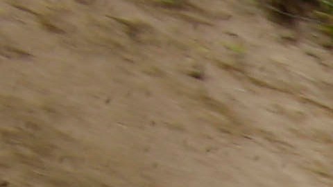 Terremoto en Ecuador