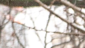 Se estima que las temperaturas se mantengan entre 30 y 50 °F la próxima semana, antes de que caiga otra ligera nevada más adelante.