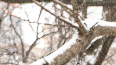Se estima que las temperaturas se mantengan entre 30 y 50 °F la próxima semana, antes de que caiga otra ligera nevada más adelante.