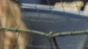 Giancarlo Stanton (L) y Aaron Judge (R) durante un juego de Yankees ante Mariners.