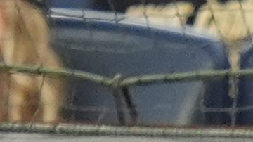 Giancarlo Stanton (L) y Aaron Judge (R) durante un juego de Yankees ante Mariners.