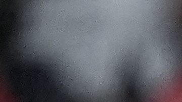 Yankees: Brian Cashman anunció que "sólo falta tiempo" para anunciar la extensión de Aaron Boone