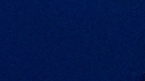 Agente de ICE arresta a un hispano en El Bronx