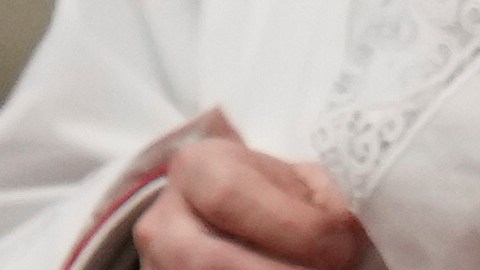 Francisco reconoce el esfuerzo de todos los obispos que trabajan de manera cercana con los migrantes y refugiados.