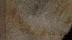 Luigi Nicholas Mangione, acusado por el asesinato del CEO de UnitedHealthcare.