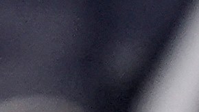 Representante demócrata Al Green