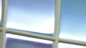 El presidente Trump ha firmado 73 órdenes ejecutivas.