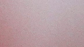 Trump parte con ventaja en el Tribunal Supremo, donde seis de los nueve jueces -incluidos tres designados por él en su primer mandato- son conservadores.