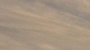 El aumento de temperaturas sigue este domingo, mientras que el clima se vuelve más templado con algo de sol y una máxima de 45° F.