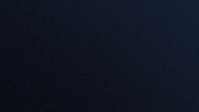 Conor McGregor desata su furia contra un aficionado y le escupe en la cara