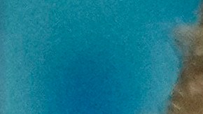 Algunos trabajadores federales que indicaron que votaron por Trump en el pasado dicen que están reconsiderando su respaldo a la administración republicana.