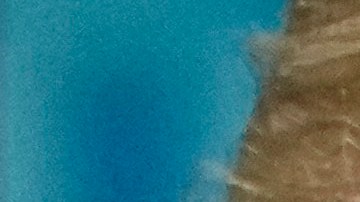 Algunos trabajadores federales que indicaron que votaron por Trump en el pasado dicen que están reconsiderando su respaldo a la administración republicana.