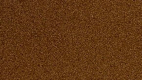 Robert F. KennedyJr.