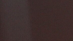 La secretaria de prensa de la Casa Blanca Karoline Leavitt