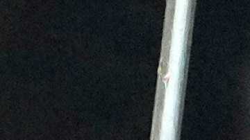 Presidente de EE.UU. Donald Trump