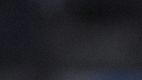 República Dominicana tendrá a Albert Pujols como manager en el Clásico Mundial de Beisbol