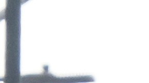 Se determinó que seis de las víctimas eran mexicanas.