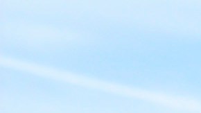 También destacó la colaboración efectiva entre las agencias federales.