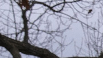 Manifestantes y legisladores protestan contra el presidente Donald Trump y su aliado Elon Musk mientras alteran el gobierno federal, incluido el desmantelamiento de USAID.