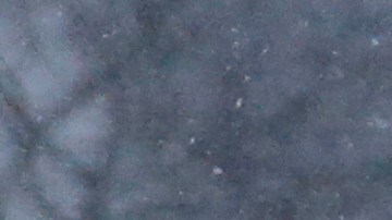 Washington D.C. verá la llegada de la tormenta el martes.