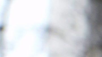 Exintérprete de Shohei Ohtani, Ippei Mizuhara, sentenciado a casi 5 años de prisión por robo