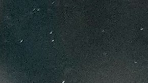 El PSG se enfrentará contra el Brest en la Champions League.