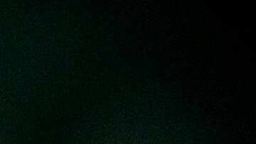 Precios de huevos y gripe aviar