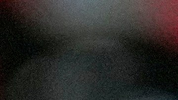 Leones del Escogido salió campeón de la Serie del Caribe.