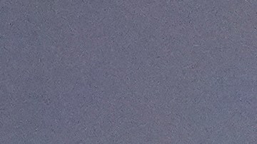 El vocalista Vince Neil no estaba presente en el vuelo.