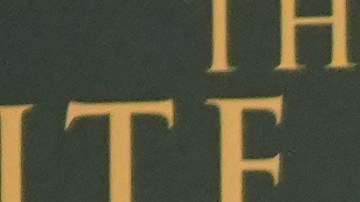 Hay muchos que dicen que su fama ha llegado gracias a las carreras de sus padres.