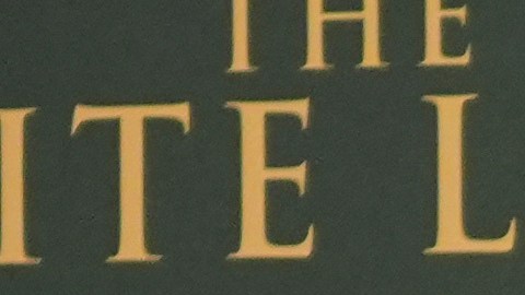 Hay muchos que dicen que su fama ha llegado gracias a las carreras de sus padres.