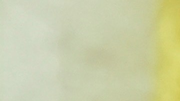 Un funcionario de la Casa Blanca dijo que la medida de Musk causó "cierta molestia" no solo entre los altos cargos, sino incluso entre algunos secretarios.