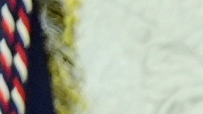 Conferencia de prensa de Donald Trump y Elon Musk en la Casa Blanca