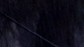 Los fallecidos eran de Georgia y Kentucky.