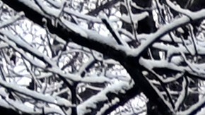Una carretera está cerrada debido a las inundaciones en Louisville, Kentucky.
