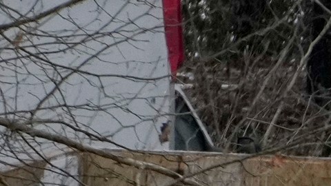 Nueve personas murieron en Kentucky y otra en Georgia.