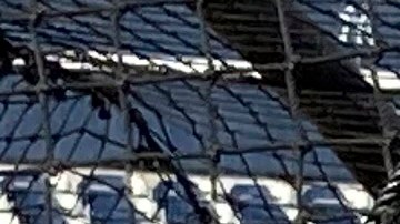 Aaron Judge practica su bateo en los Spring Training.