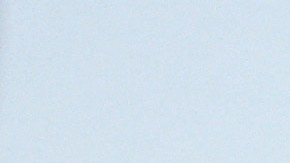 Elon Musk y Donald Trump