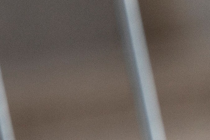 Un manifestante sostiene un cartel que muestra una señal de prohibición de tránsito que dice "Musk DOGE" durante una manifestación para protestar contra las políticas del presidente Trump en el Día de los Presidentes.