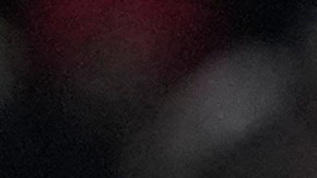 El Bayern Múnich apuesta por una nueva victoria en la Bundesliga,