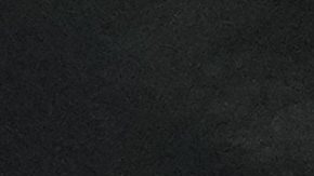 Falleció un voluntario del Borussia Dortmund en pleno partido de Champions ante el Sporting