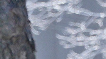 En Carolina del Norte se registró una víctima mortal.