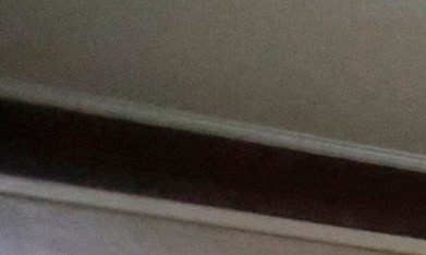 Agentes federales con migrante arrestado en NY