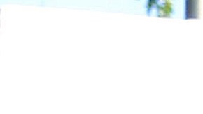 Las autoridades han comenzado una investigación sobre lo ocurrido.