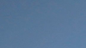 Manifestación proestadidad en Puerto Rico