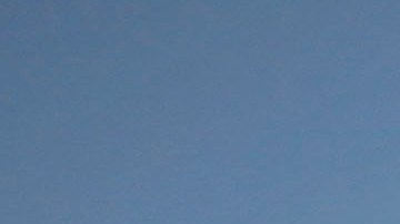 Manifestación proestadidad en Puerto Rico