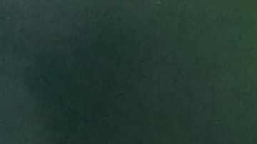 Club América y Adidas.