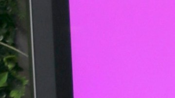 Aleska Génesis, modelo venezolana.