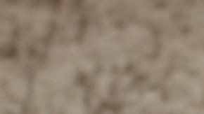 Aleska Génesis: ¿a quién salvará en La Casa de los Famosos All-Stars?